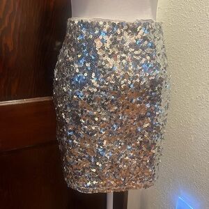 Sequin Silver Skirt